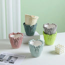 Axyaa Ceramic Flower Pots with Relief Pattern for Succulents and Home Decor