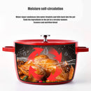 Axyaa Enamel Cast Iron Soup Pot with Lid - 9.5 Inch Stew Pan for Gas and Induction Cookers