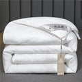 Axyaa Silk Comforter - Pure Mulberry Silk Filling, Cotton Cover, All Season Luxury
