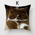 Cat Pattern Cushion Cover 45x45cm - Ideal Sofa & Home Decor Gift by Axyaa