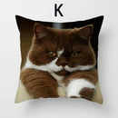 Cat Pattern Cushion Cover 45x45cm - Ideal Sofa & Home Decor Gift by Axyaa