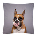 Axyaa Cute Dog Photo Polyester Cushion Cover for Home Sofa Car