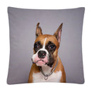 Axyaa Dog Photo Pattern Cushion Cover for Home Sofa Car Decoration