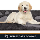 Axyaa Microfiber Dog Doormat 32x47, Non-Skid, Machine Washable Entryway Rug