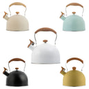 Axya Electric Kettle with Whistle, Stainless Steel, Camping Cookware