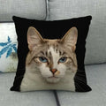 Fat Orange Cat Print Cushion Cover 45x45cm by Axyaa: Animal Pattern Home Decor Pillowcase