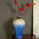 Axyaa Blue Glaze Ceramic Vase - Elegant Home Decor Beauty, Small Bottle Mouth