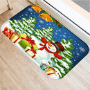 Axyaa Home Decor Entry Mat 40x60 50x80cm