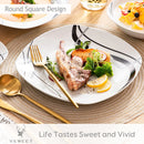 Axyaa 36-Piece Porcelain Ceramic Black Line Kitchen Tableware Set