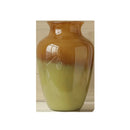 Axyaa Glass Vase: Elegant Décor for Living Room, Hotel Showroom & Home Arrangement