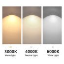 Axyaa Round Ring Chandelier Pendant Light for Dining LED Bedroom Living Modern Nordic Decor