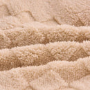 Axyaa Winter Coral Fleece Queen Size Blanket: 220x240cm Warm Faux Lamb Wool Quilt