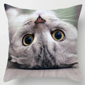 Axyaa Cute Cat Hug Pillowcase Interactive Cushion for Home Sofa Decor