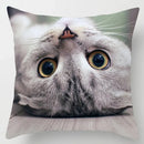Axyaa Cute Cat Hug Pillowcase Interactive Cushion for Home Sofa Decor