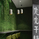 Axyaa Nordic Ins Cement Pendant Light for Dining Bedroom Study Unique Decor