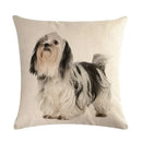 Axyaa Dog Cushion Covers Collection