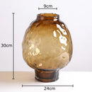 Axyaa Big Belly Relief Glass Vase for Stylish Hydroponics Plant Display