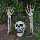 Halloween Skeleton Stakes with Crows for Axyaa Halloween Party Decor