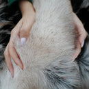 Axyaa Luxury Fox Fur Blanket | Fluffy Faux Fur Blanket for Bed & Sofa