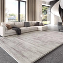 Axyaa Luxury Fluffy Grey Living Room Carpet, Soft Plush Rug for Home Decor