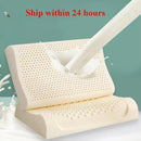Axyaa Latex Pillow: Granular Langya Latex, Smooth Pillow for Adults and Students