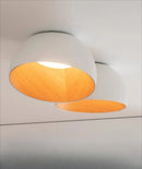 Axyaa Wood Grain LED Ceiling Light with Remote Control - Modern Minimalist Flush Mount Lamp