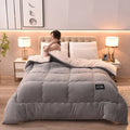 Axyaa Super Warm Winter Lamb Wool Quilt - Double Sided Velvet Soft Blanket