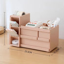Axyaa Desk Organizer with Drawer - Large Capacity Stationery Storage Box