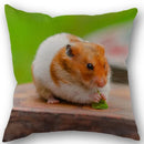 Axyaa Hamster Series Sofa Cushion Cover Pillowcase - Home Party Car Bedding