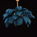 Axyaa Modern Nordic LED Ostrich Feather Ceiling Chandelier