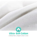 Axyaa Ultra Soft Full/Queen Down Comforter - Winter Weight for Cold Sleepers