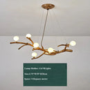 Axyaa Glass Ball Chandelier Pendant Lamp for Home Indoor Lighting