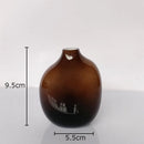 Axyaa Circular Glass Vase Desk Decoration Hydroponics Flower Pots Modern Decor