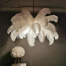 Axyaa Ostrich Feather Pendant Light Chandelier for Home, Bedroom, and Living Room
