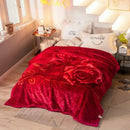 Axyaa Double Thickened Raschel Blanket for Winter Warmth