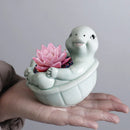 Axyaa Turtle Succulent Plant Pot Garden Flower Vase Cute Balcony Decor Pot
