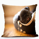 French Bulldog & Pug Dog Pillowcase by Axyaa - Decorative Animal Polyester Cushion Cover