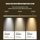 Axyaa LED Track Light Rail for Clothing Shop Spotlight Fixture