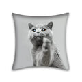 Axyaa Cute Cat Anime Pillowcase 45x45cm Home Office Decoration