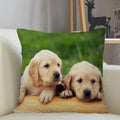 Axyaa Golden Retriever Dog Sofa Pillowcase for home decor