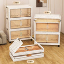 Axyaa Double-Door Plastic Storage Cabinet for Bedroom, Multi-Layer Organizer Box with Lid