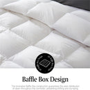 Axyaa Luxe Goose Down Quilt | Fluffy Queen King Size Duvet with Cotton Shell