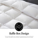 Axyaa Luxe Goose Down Quilt Duvet, Queen King Full Size, Four Seasons, Cotton Shell