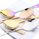 Axyaa Stainless Steel Slotted Spoon Set - Multicolored Big Soup Flatware Kit
