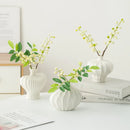 Axyaa White Ceramic Calabash Vase for Room Decoration and Floral Arrangement