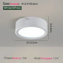 Axyaa LED Downlight Ceiling Lamps: 5W-18W Cob Spot Lights, White Surface Mount Fixtures