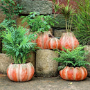 Axyaa Pumpkin Flower Vase for Garden and Courtyard Decoration - Ceramic Succulent Pot