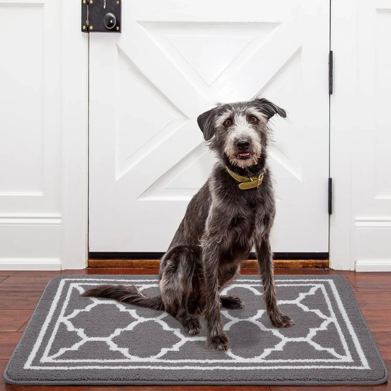 Axyaa Absorbent Anti-Slip Doormat - Indoor/Outdoor Floor Protector Rug
