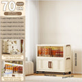 Axyaa 2-Door Foldable See-Through Storage Cabinet