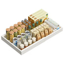 Axyaa Retractable Spice Drawer Organizer with Slide Rails - Cabinet Storage Rack